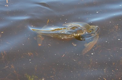 DSC_0019.jpg