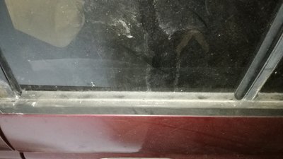 IMG_20180429_114317.jpg