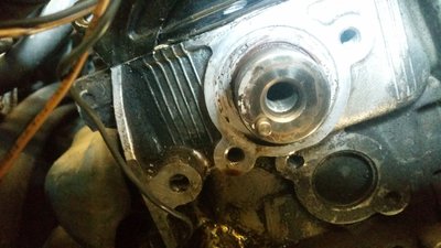 20180430_124926.jpg