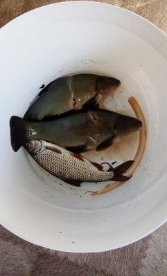 IMG-20180517-WA0000.jpeg
