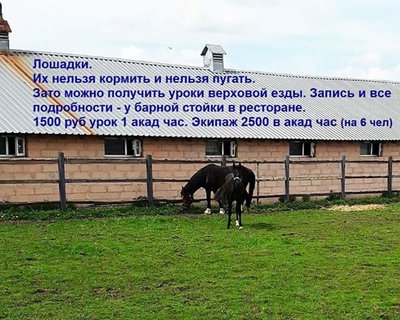 Лошадки