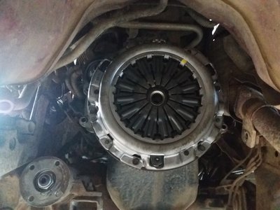 20180512_135219.jpg