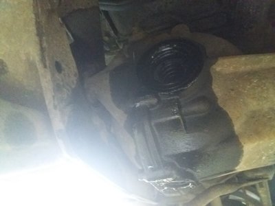 20180514_130108.jpg