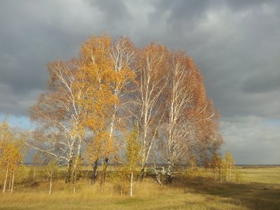 2016-10-17 14.58.56.jpg