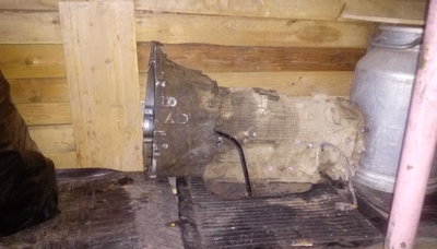 IMAG0414.jpg