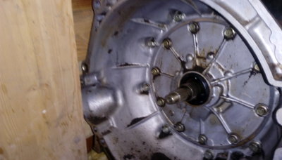 IMAG0415.jpg