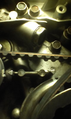 IMG_20100313_053613.jpg
