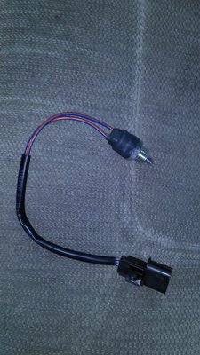 P_20180603_100813.jpg