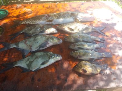 IMG-20180603-WA0002.jpg