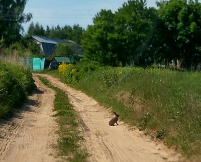IMG-20180603-WA0001.jpg