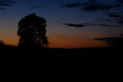 DSCF6156.gif