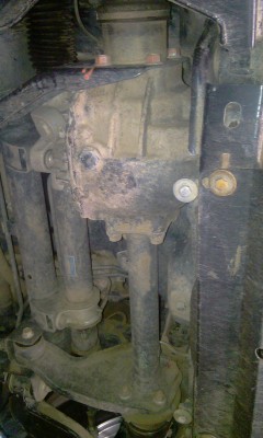 IMAG0254.jpg
