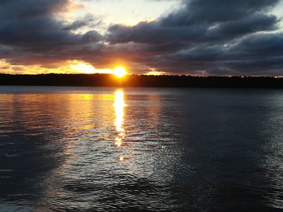 IMG_20180623_040409.jpg