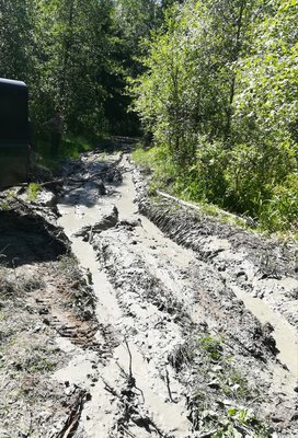 IMG_20180624_171440.jpg