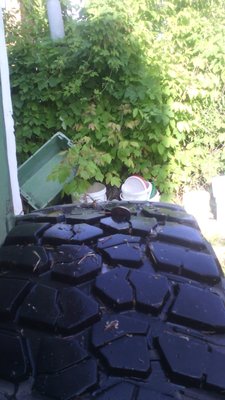 IMG_20180627_173921.jpg