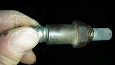 20161211_134346.jpg