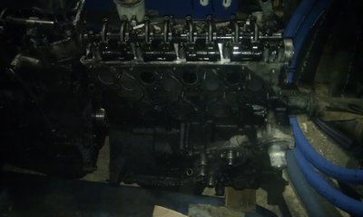 IMAG0262.jpg