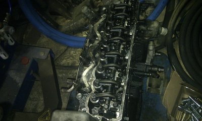 IMAG0263.jpg