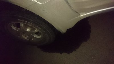 DSC_0357.JPG