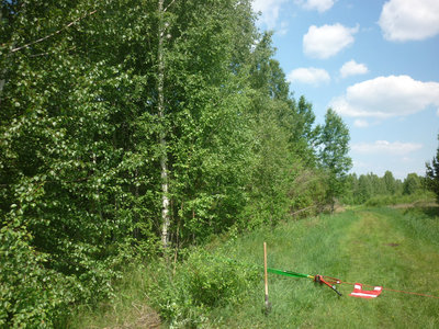 P1080146.JPG