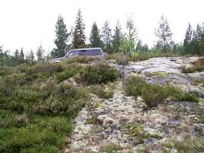 PICT0041.JPG