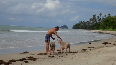 P1120398(2)(1)[1].jpg