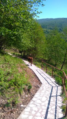 DSC_0019_31.JPG