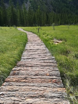IMG-20180706-WA0060.jpg