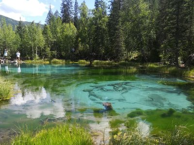 IMG-20180706-WA0065.jpg