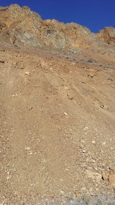 P_20180706_181731.jpg