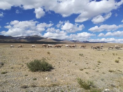 IMG-20180706-WA0079.jpg