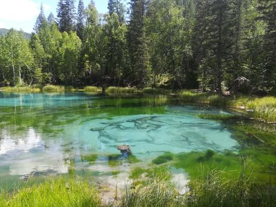 IMG-20180706-WA0062.jpg