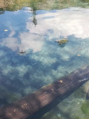 IMG-20180706-WA0067.jpg