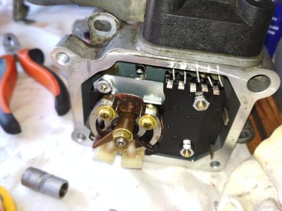 236ae82c-b1ed-4b05-b29f-06dcefce55d2.jpg