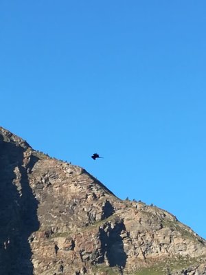 IMG-20180708-WA0016.jpg