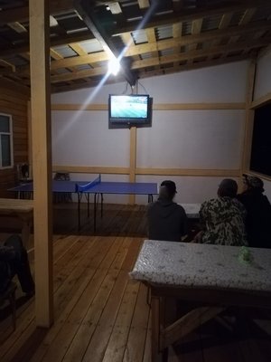 Англия-Швеция, импорт болеет за наших...