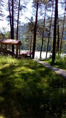 IMG_20180714_181957.jpg