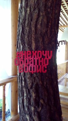 IMG_20180714_182436.jpg