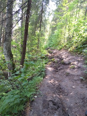 IMG_20180703_135318.jpg