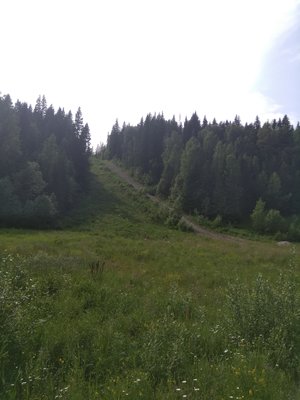 IMG_20180703_152644.jpg