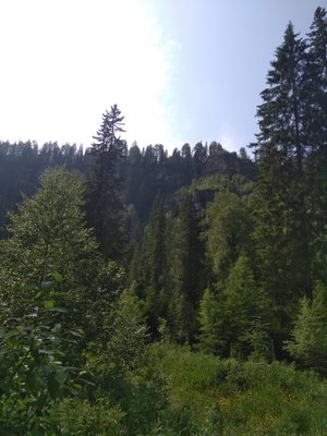 IMG_20180703_145248.jpg
