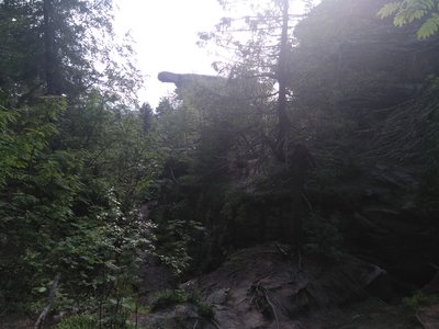 IMG_20180703_165359.jpg
