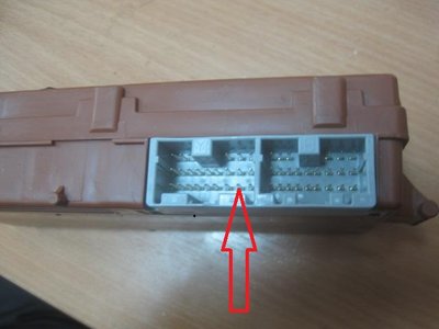 am008397_3.jpg