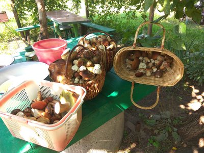 IMG_20170909_115616.jpg
