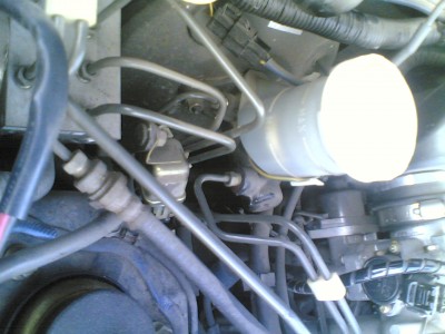 08072011.jpg