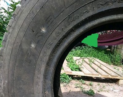 4556728847.jpg