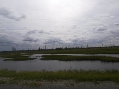 IMG-603e355e7fd8da9965cf6512d0741741-V.jpg