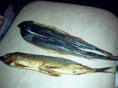2011-07-09 22.49.42.jpg