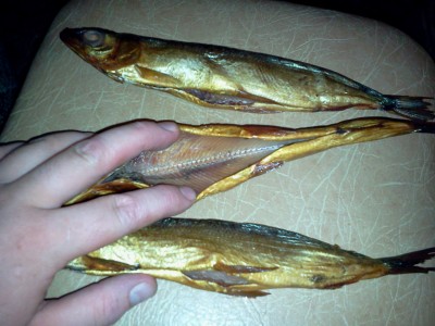 2011-07-09 22.49.13.jpg