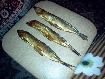2011-07-09 22.48.59.jpg